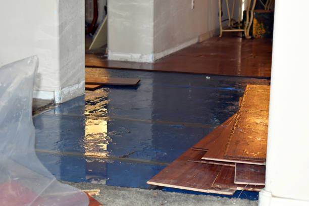 Professional Water Extraction technician working in Garrison, UT